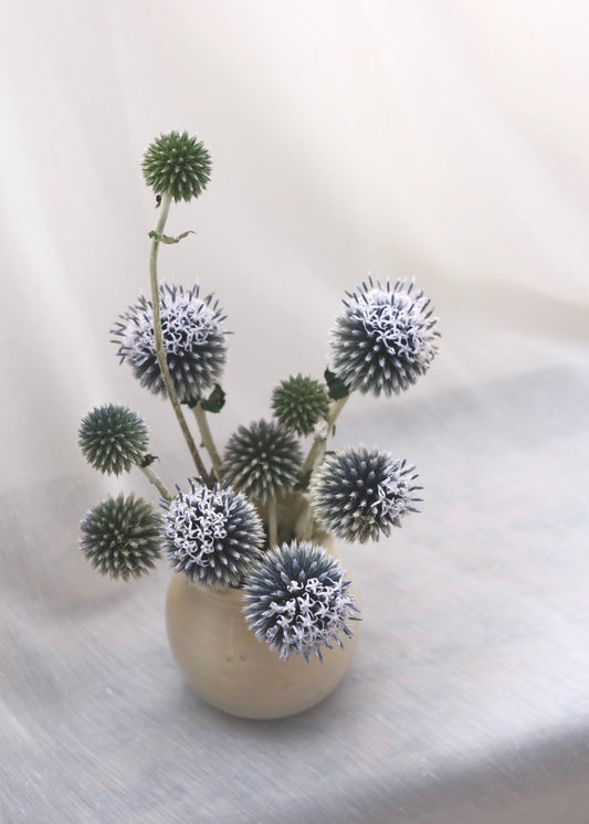 Arrangement of spherical echinop flowers in a beige bud vase on a sheer white background