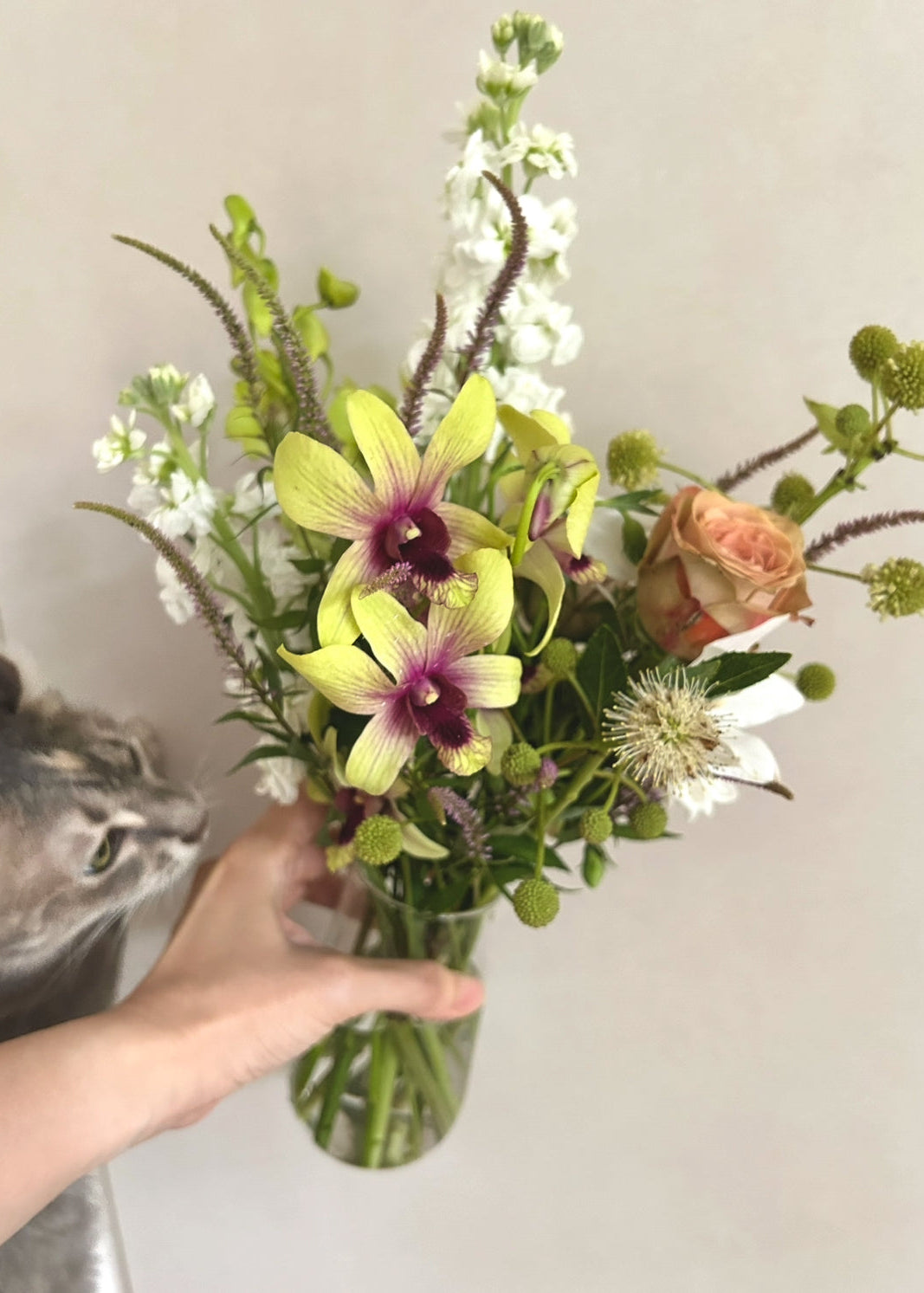 FLORAL SUBSCRIPTION
